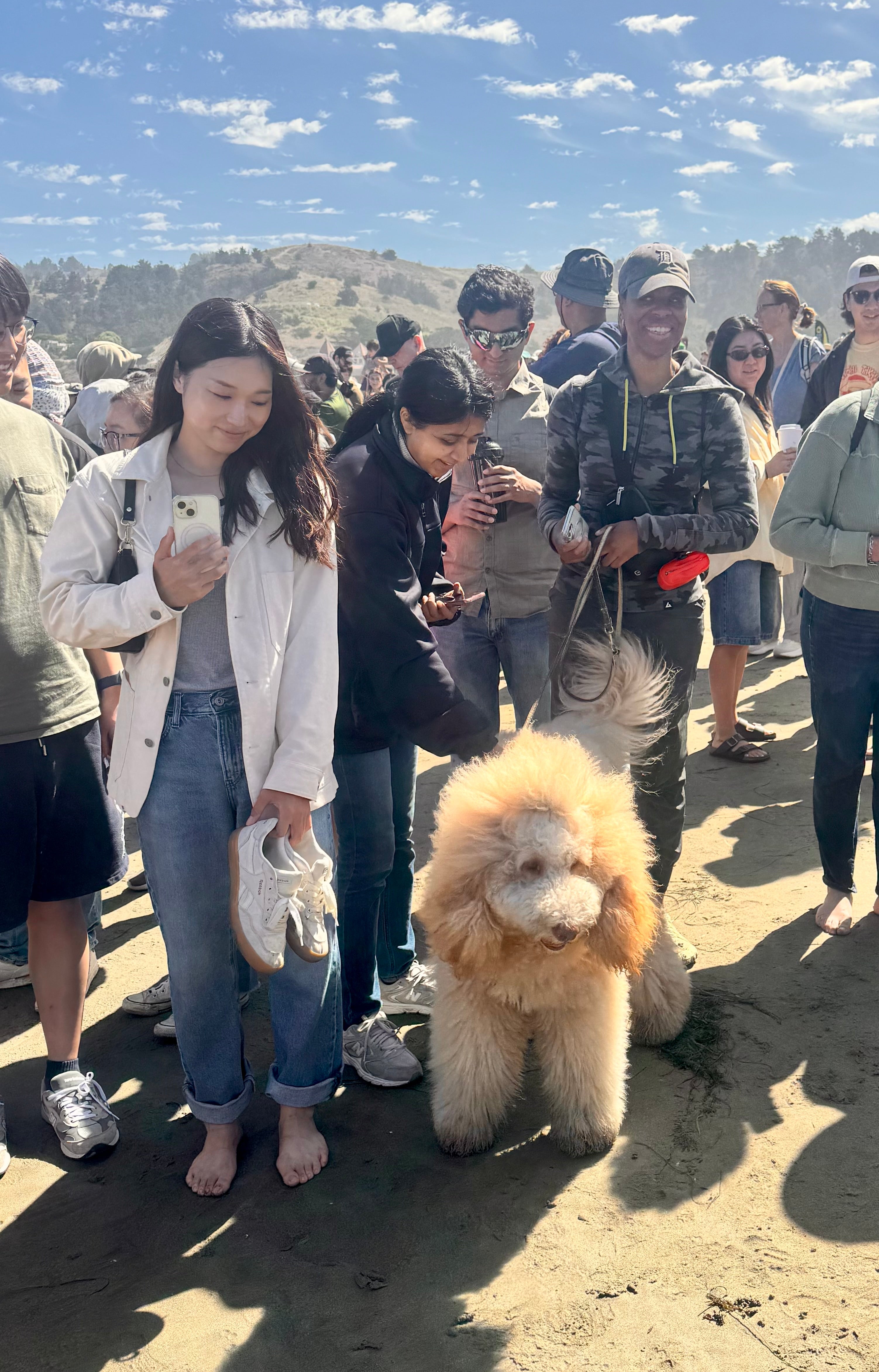 So much fun! Great people, great dogs, great day!