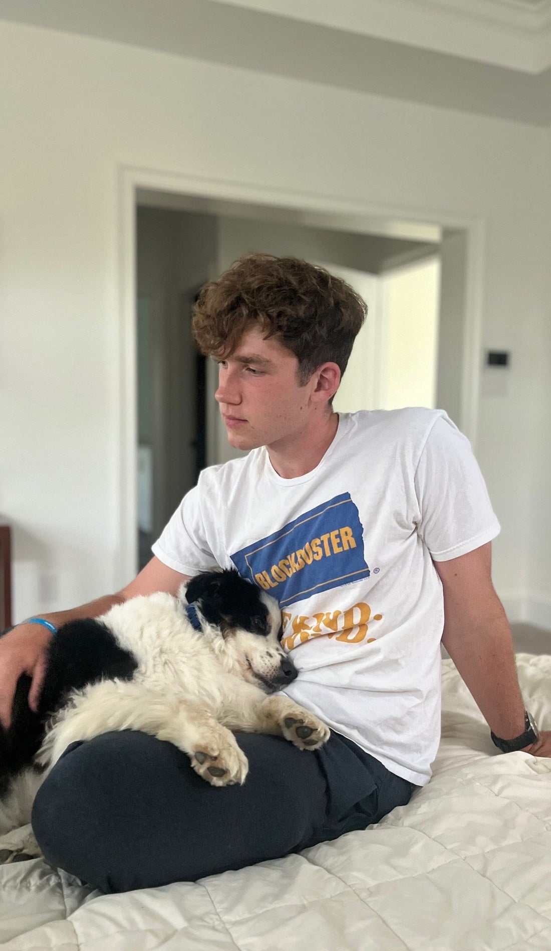 How Dogs Walk With Us Through Grief