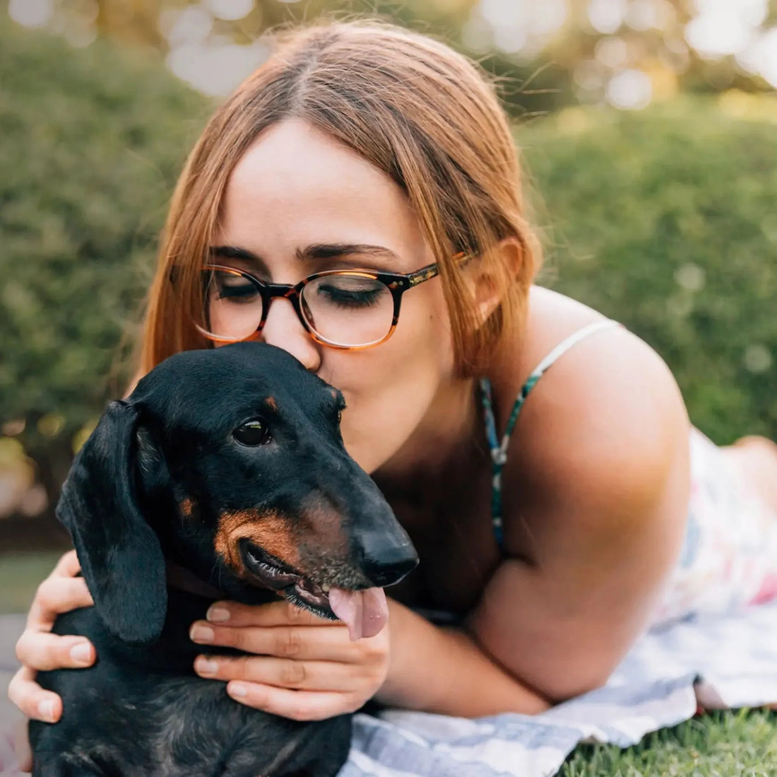 10 Signs You’re an Amazing Doggy Parent (According to Your Pup!)