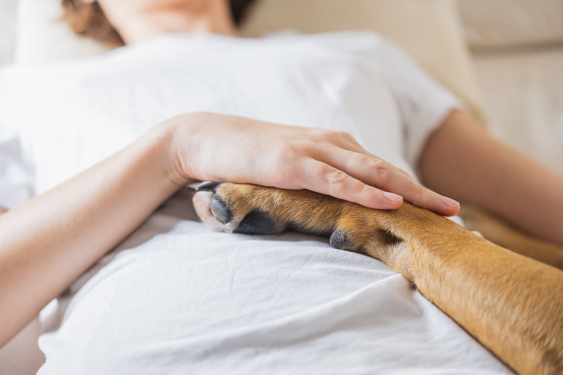 Paws for Healing: How Dogs Like Me Help You Feel Better—Body and Mind