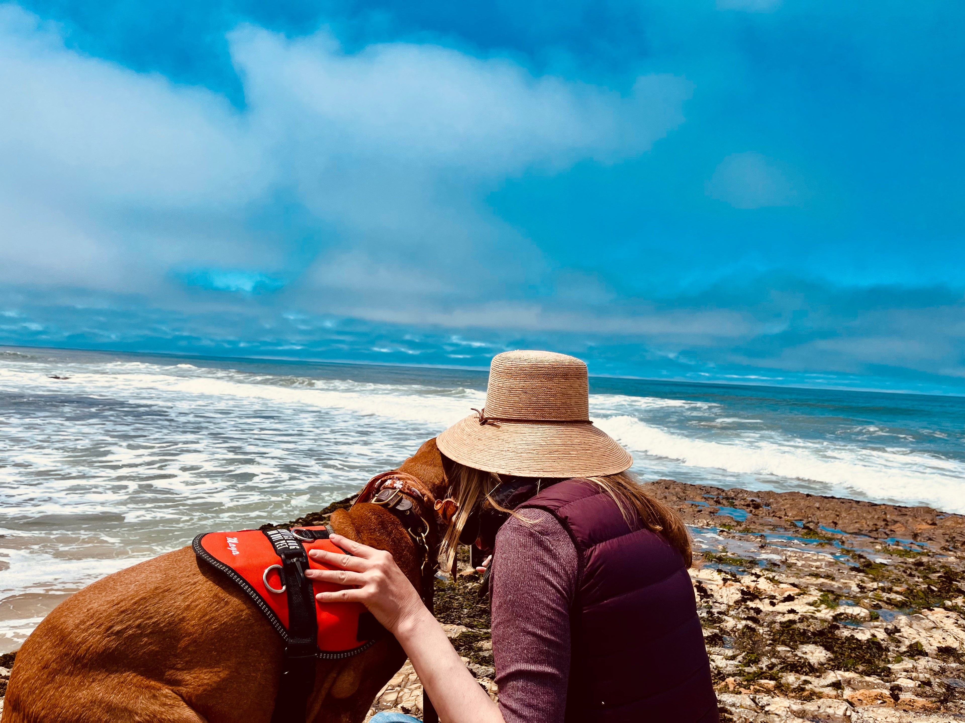 World Surfer Dog Championships 2026: where are we on paws and fur?