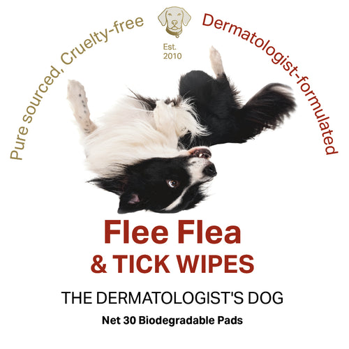 Flee Flea & Tick Wipes