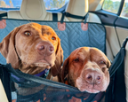 Cruise & Snooze Calming Wipes